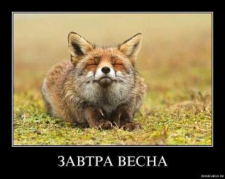 Ну и погодка!-28467939_1796146737358422_5064710461100333766_n.jpg