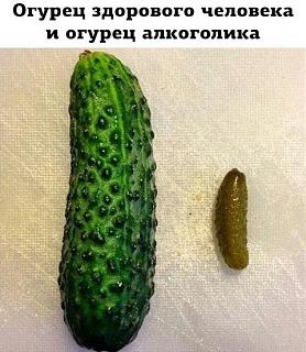 Повышатель настроения-ogurec.jpg