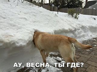 Ну и погодка!-image99m5ohyw.jpg