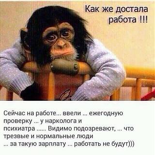 Черный юмор. Или не юмор.-29432629_158921071590508_939063424210797945_n.jpg