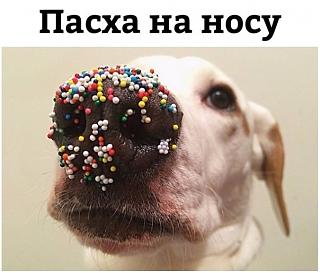 Повышатель настроения-003.jpg