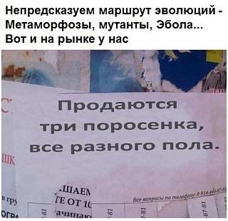 Повышатель настроения-30261029_1704803992943458_6135563843922899693_n.jpg