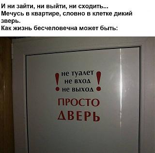 Повышатель настроения-30265066_1704803982943459_2136164254809616245_n.jpg