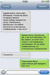 Анекдоты на отвлеченные темы-britanskii-kot.jpg