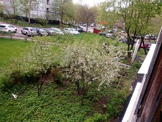 Черный юмор. Или не юмор.-img_20180506_125314.jpg