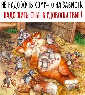Повышатель настроения-kot.jpg