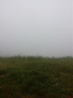 Отдых летом. Куда поехать?-img_20180706_152817.jpg
