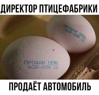 Повышатель настроения-36997354_2084008691672543_5924825157683118080_n.jpg