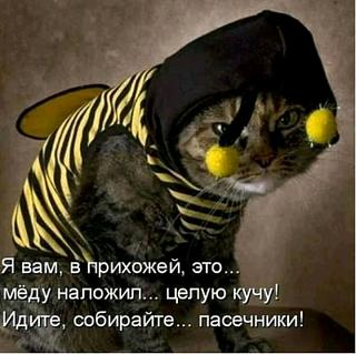 Повышатель настроения-07-07-56-downloadfile.jpg