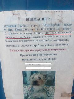 Черный юмор. Или не юмор.-img_20180816_114604.jpg