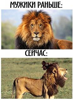 Повышатель настроения-23-04-39-downloadfile.jpg