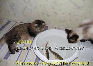 Рыбалка, новости с водоёмов.-okuni.jpg