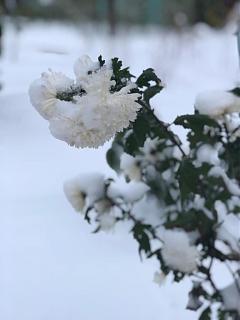 ДАЧА-img-20181113-wa0007.jpg