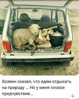 Повышатель настроения-image.jpg