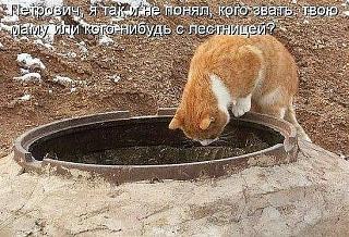 Просто прикольно-kogo-zvat.jpg