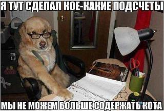 Просто прикольно-kotopes.jpg
