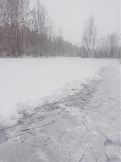 Ну и погодка!-img_20190102_130917.jpg