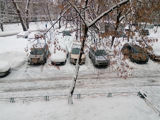 Ну и погодка!-img_20190104_160252.jpg