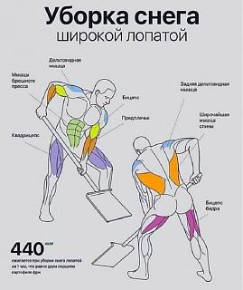 Повышатель настроения-qvvlzs7zkcy.jpg
