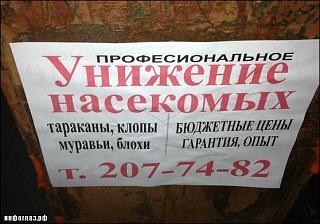 Повышатель настроения-tarakany.jpg