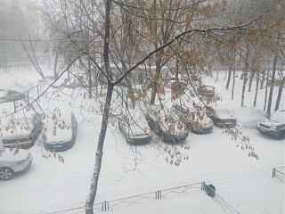 Ну и погодка!-img_20190126_131351.jpg