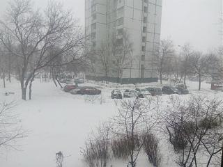 Ну и погодка!-img_20190126_131101.jpg