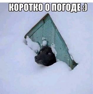 Ну и погодка!-fb_img_15483100646929994.jpg