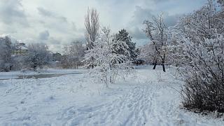 Ну и погодка!-20190116_113000.jpg