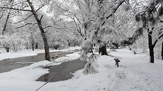 Ну и погодка!-20190116_130022.jpg