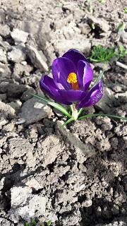 Ну и погодка!-20190308_111043.jpg