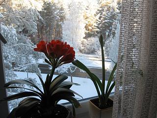 Ну и погодка!-img_2813.jpg
