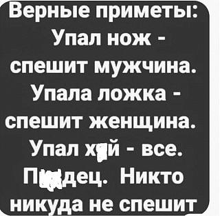 Черный юмор. Или не юмор.-shegshegshp.jpg