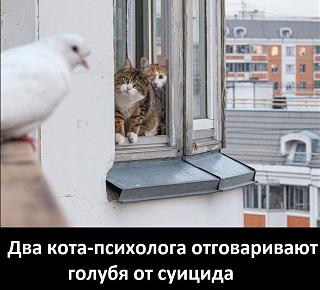 Черный юмор. Или не юмор.-suicid.jpg
