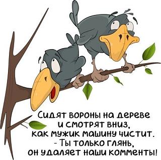 Повышатель настроения-887458fd-ad71-40a3-8082