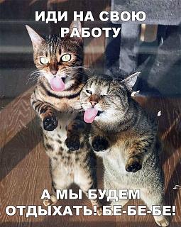 Кто как тЯпницу отмечает?-be-be.jpg
