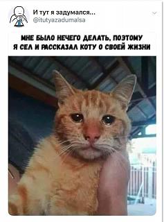 Просто прикольно-rasskazal-kotu.jpg