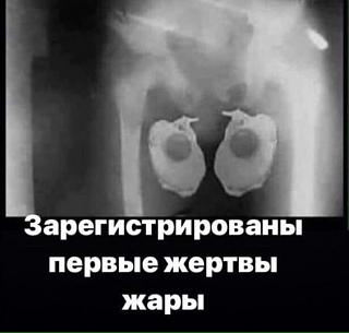 Повышатель настроения-shogshgengkneu.jpg
