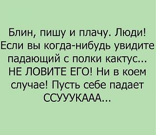 Черный юмор. Или не юмор.-kaktus.jpg