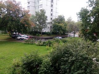 Трынделка-img_20190723_113349.jpg
