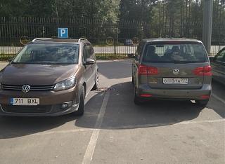 Встретил на дороге...-2019-08-12-15.15.42.jpg