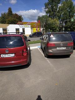 Встретил на дороге...-img-20190825-wa0008.jpg