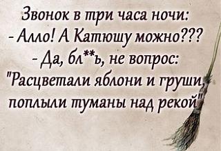 Повышатель настроения-katyusha.jpg