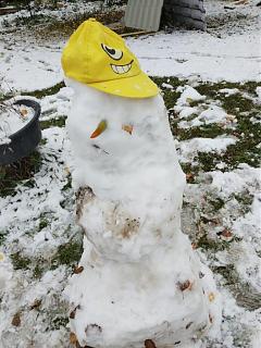 ДАЧА-img-20191006-wa0004.jpg