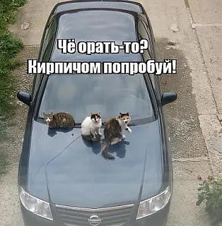 Пикчи на автомобильную тему-img_20191022_105826.jpg