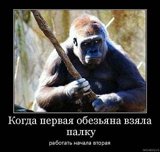 Черный юмор. Или не юмор.-obezyana.jpg