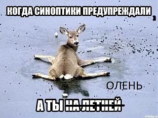 Пикчи на автомобильную тему-olen.jpg