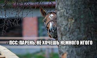 Повышатель настроения-04164265f.jpg