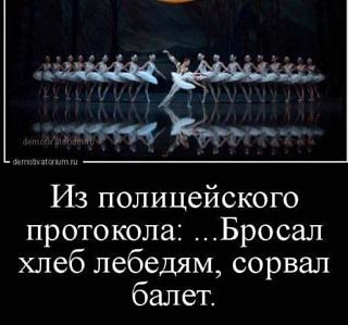 Черный юмор. Или не юмор.-balet.jpg