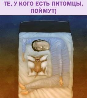 Братья наши меньшие-img-20191203-wa0009.jpg