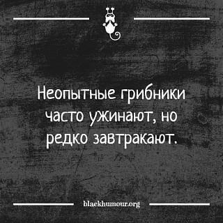 Черный юмор. Или не юмор.-d02e311b43f6dae54eb16cc3f75d0fc4.jpg